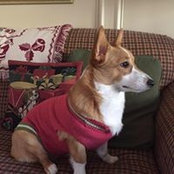 Maureen Dixon's photo