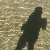 Sue Vogel's photo