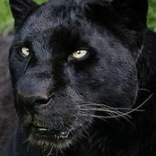 Kassandra von Troya's photo