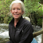 Barbara Crane's photo