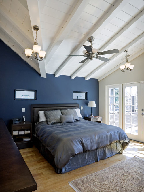Dark Blue Accent Wall Home Design Ideas, Pictures, Remodel and Decor