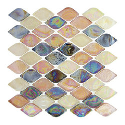 Nova Aquatica Series. Color, Glossy Spectrum - Products