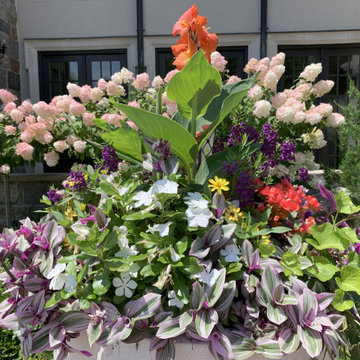 2025 Award Winner / Front Yard Elegance