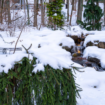 Backyard Cascades