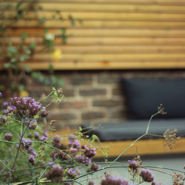 Hackney Courtyard Garden