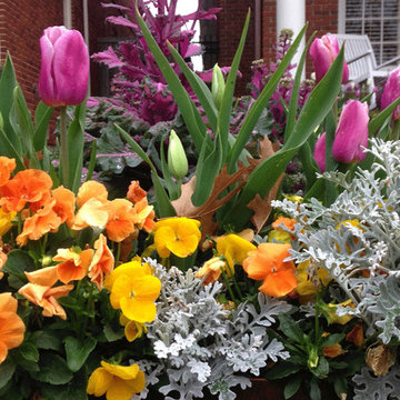 Change Your Potted Gardens Each Season
