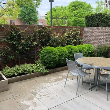 Garden and patio design and plantings