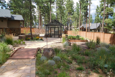 This is an example of a transitional landscaping in Phoenix.