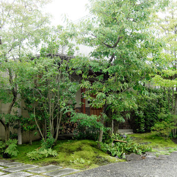 三浜町の木と石たち