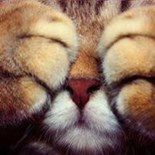 Maria Bukhtilava's photo
