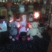 Scentsy_Bev Ard's photo
