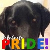 Missy Tankell's photo