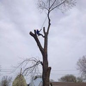 Billy Smith's photo