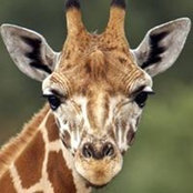 Jassy Darras's photo