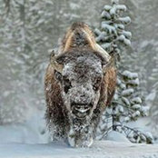 Foto von Doug LaFay