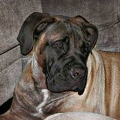 Bev Anderson's photo