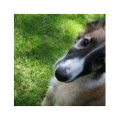 Vera Zalar's photo