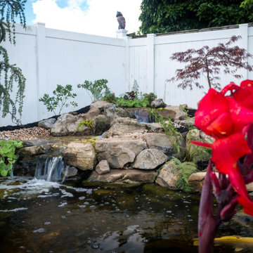 Koi Pond