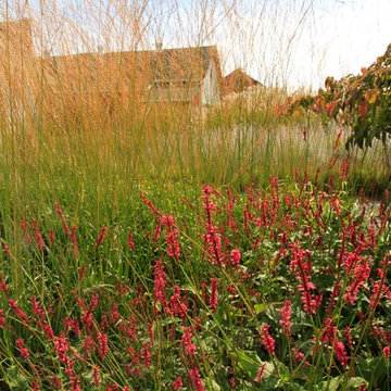 The DPG Farm Gardens, East Vincent Township