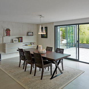 ストラスブールの中サイズのモダンスタイルのLDKの画像 (コンクリートの床、グレーの壁、グレーの床)