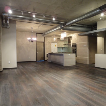 12 Galleria Lux Loft