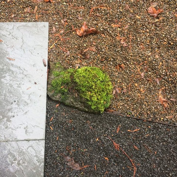 West Linn Japanese Garden Restoration