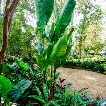 Rienzi Mansion - MFAH - Landscape Design & Installation