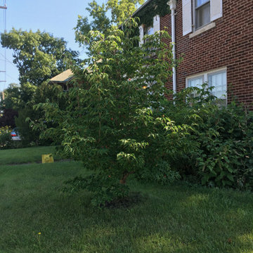 House on West: Before