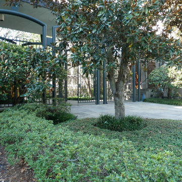 Commercial Landscapes