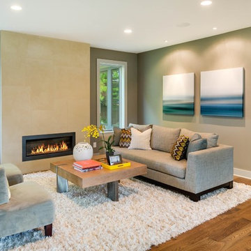 Edina Contemporary Remodel