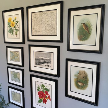 Botanical Prints