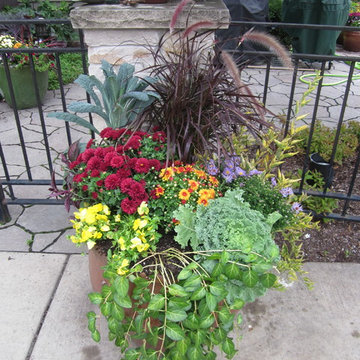 Annual Displays