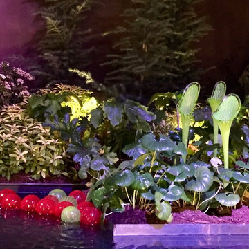 Southern Spring Home and Garden Show 2017