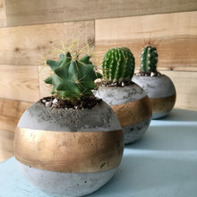Indoor gardening