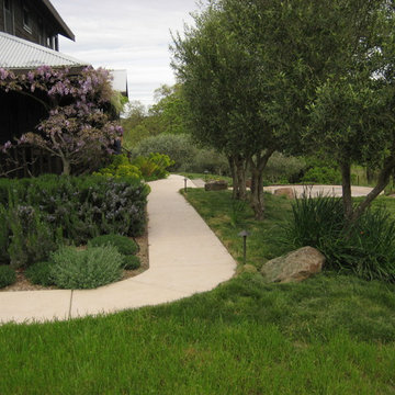 Marin Private Olive Ranch