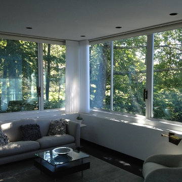 Luminette Shades