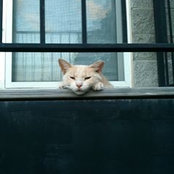 Jeff Mathers's photo