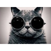 Анна Баскаева's photo