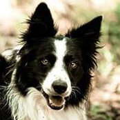 Manlio Castagna's photo