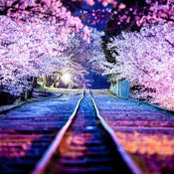 Chris Choong's photo