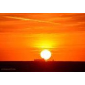 Barbara Wimbish's photo