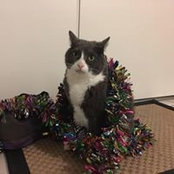 Ryan Montag's photo