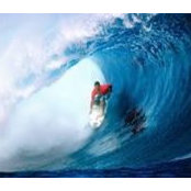 Paul Clancy's photo