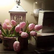 Ainsi Soit Fee's photo