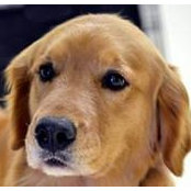 Eileen Hanson Bohn's photo