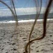 Jaclyn Gallucci's photo