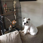 Suzanne Masson's photo