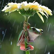 Mary Lieurance's photo