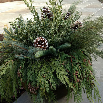 Festive Holiday Displays