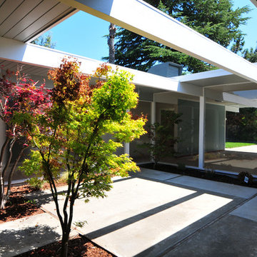 Mid Century Modern - Eichler Renovation